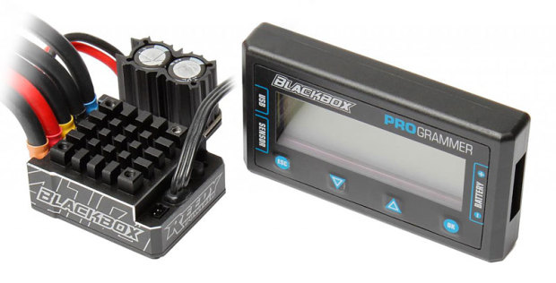 Reedy-Blackbox-410R-Wettbewerbs-Regler-03